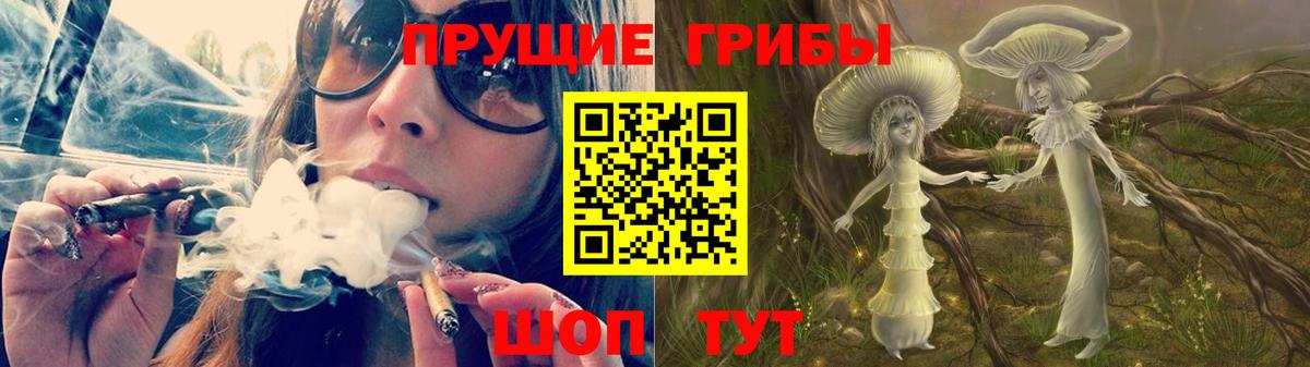 Псилоцибиновые грибы прущие грибы  Вход с VPN  Новомосковск 